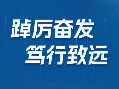 一图读懂w66利来电气2024年半年报