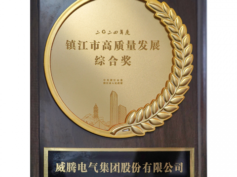 喜讯│w66利来荣获2024年度镇江市高质量生长综合奖