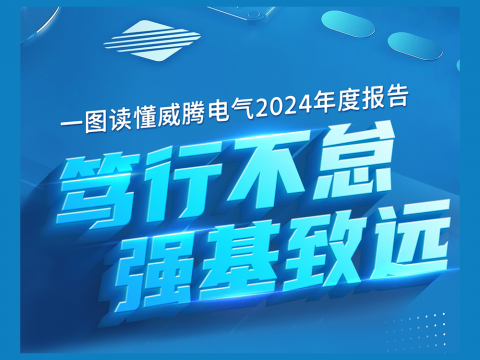 一图读懂w66利来电气2024年度报告