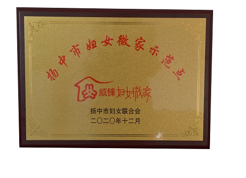 w66利来电气集团喜获扬中市级妇女微家树模点-栏目内容详细页-公司新闻