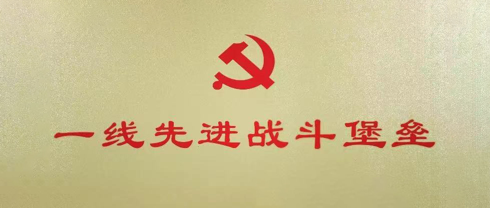 w66利来电气集团行政党支部荣获“扬中市一线先进战斗堡垒”-栏目内容详细页-公司新闻