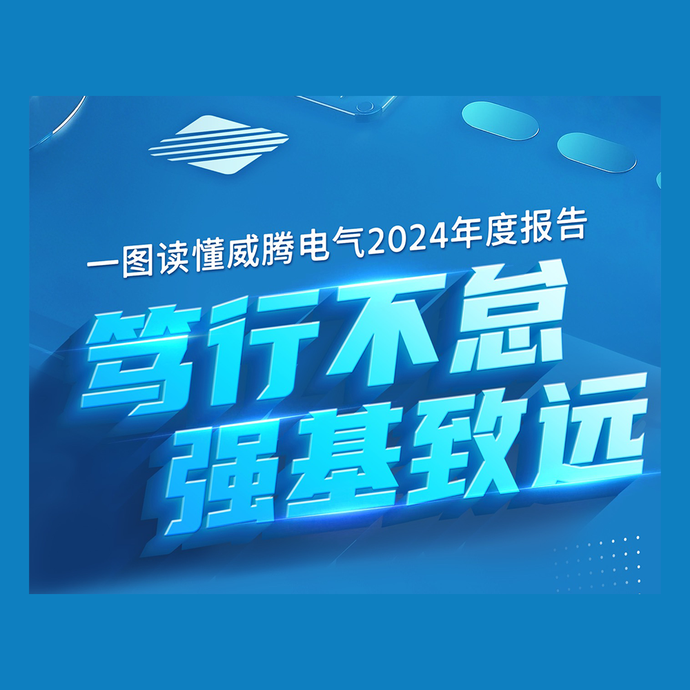 一图读懂w66利来电气2024年度报告-栏目内容详细页-公司新闻
